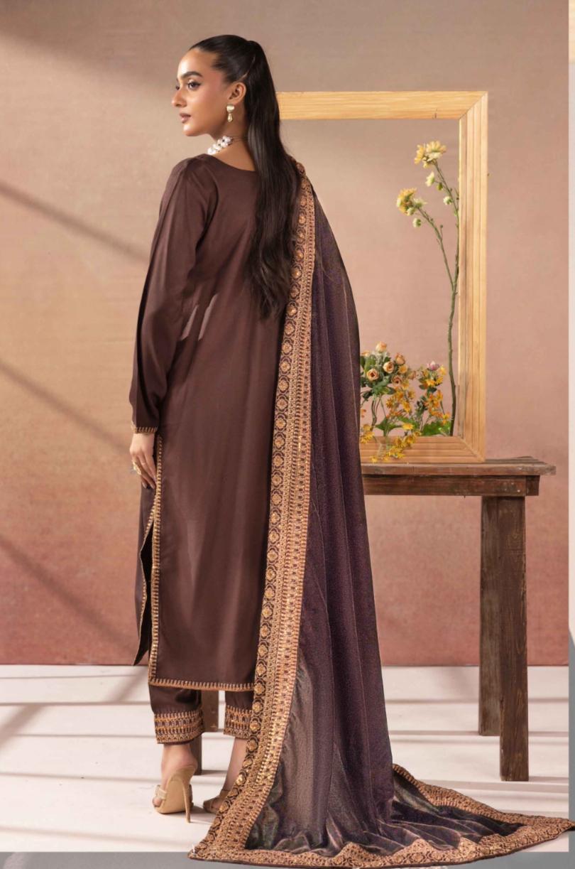 Salenmore | Amor by Simrans Dhanak Embroidered 3 Piece Suit with Velvet Shawl – Pakistani women's wear | Traditional Dress |