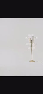 Limelight 2 piece slub khaddar suit 2 vid